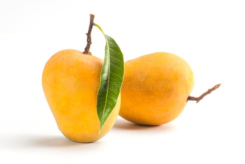 pure-spice-3